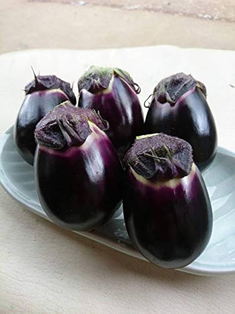 Amazon.co.jp: 十全茄子 新潟 なす 朝採れ 黒十全茄子 やまちゃん農園